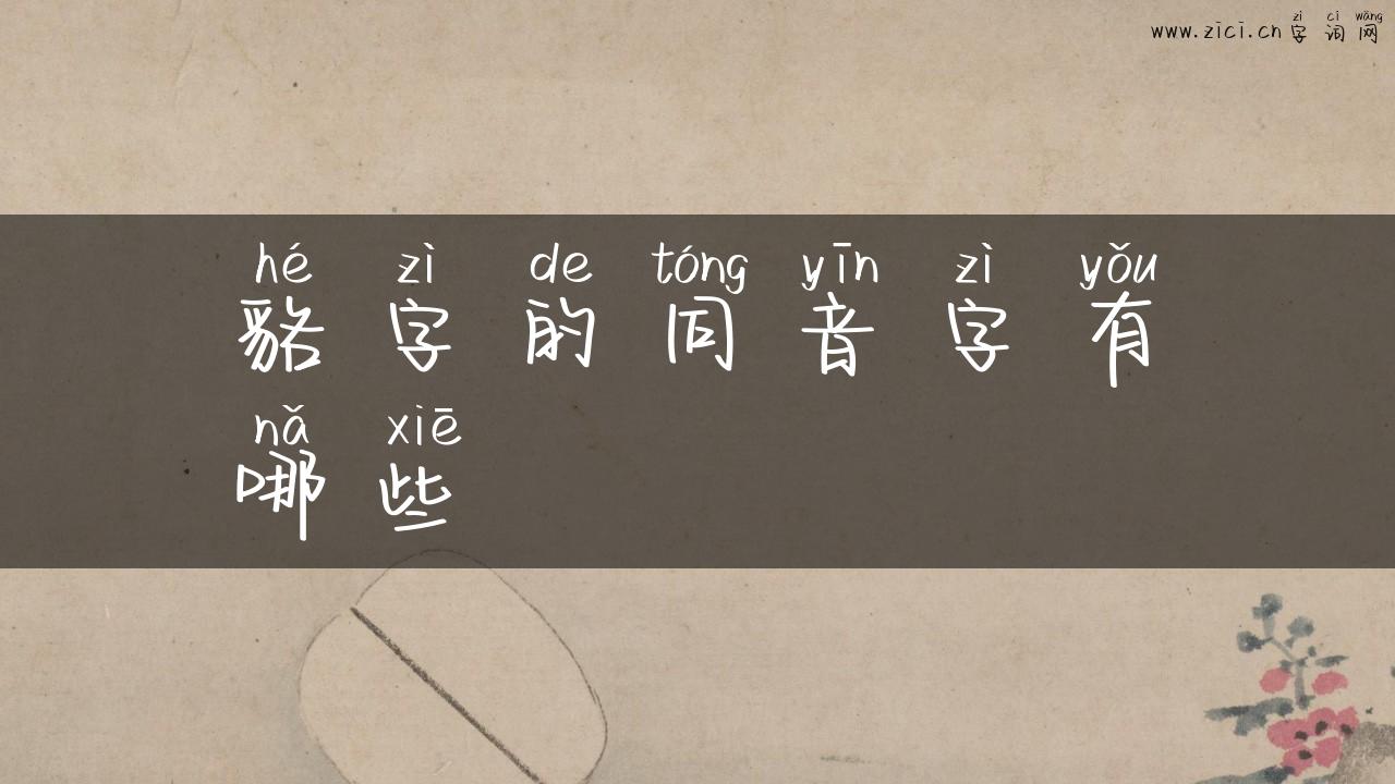 貉字的同音字有哪些