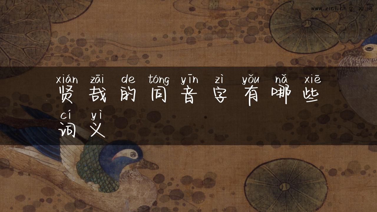 贤哉的同音字有哪些词义