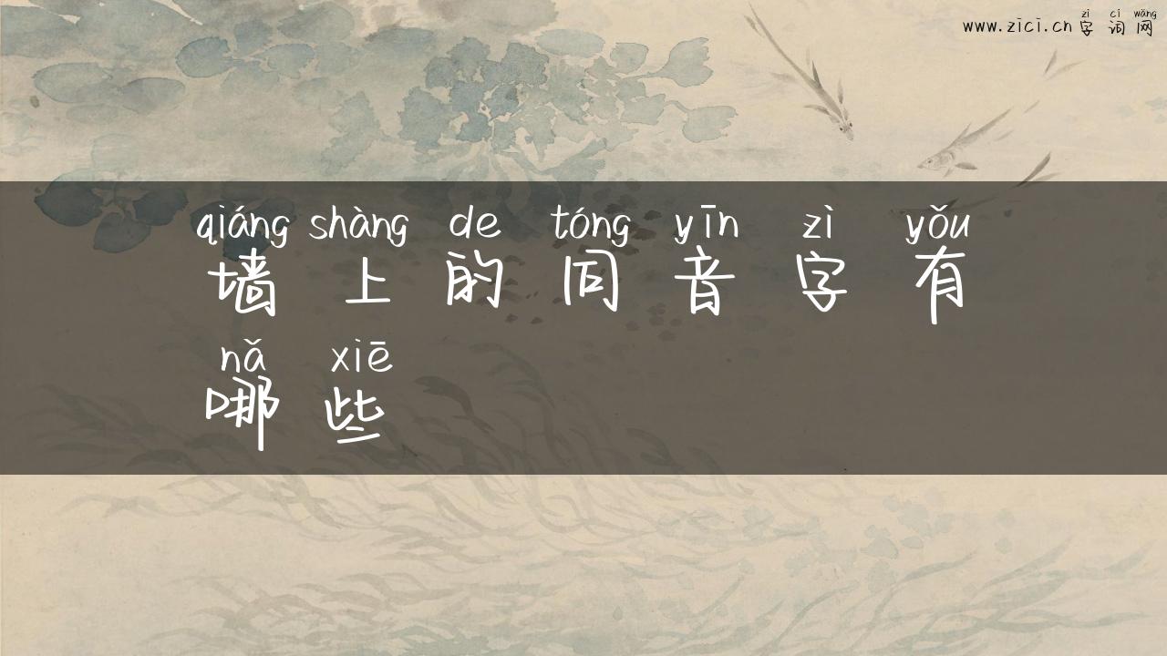 墙上的同音字有哪些