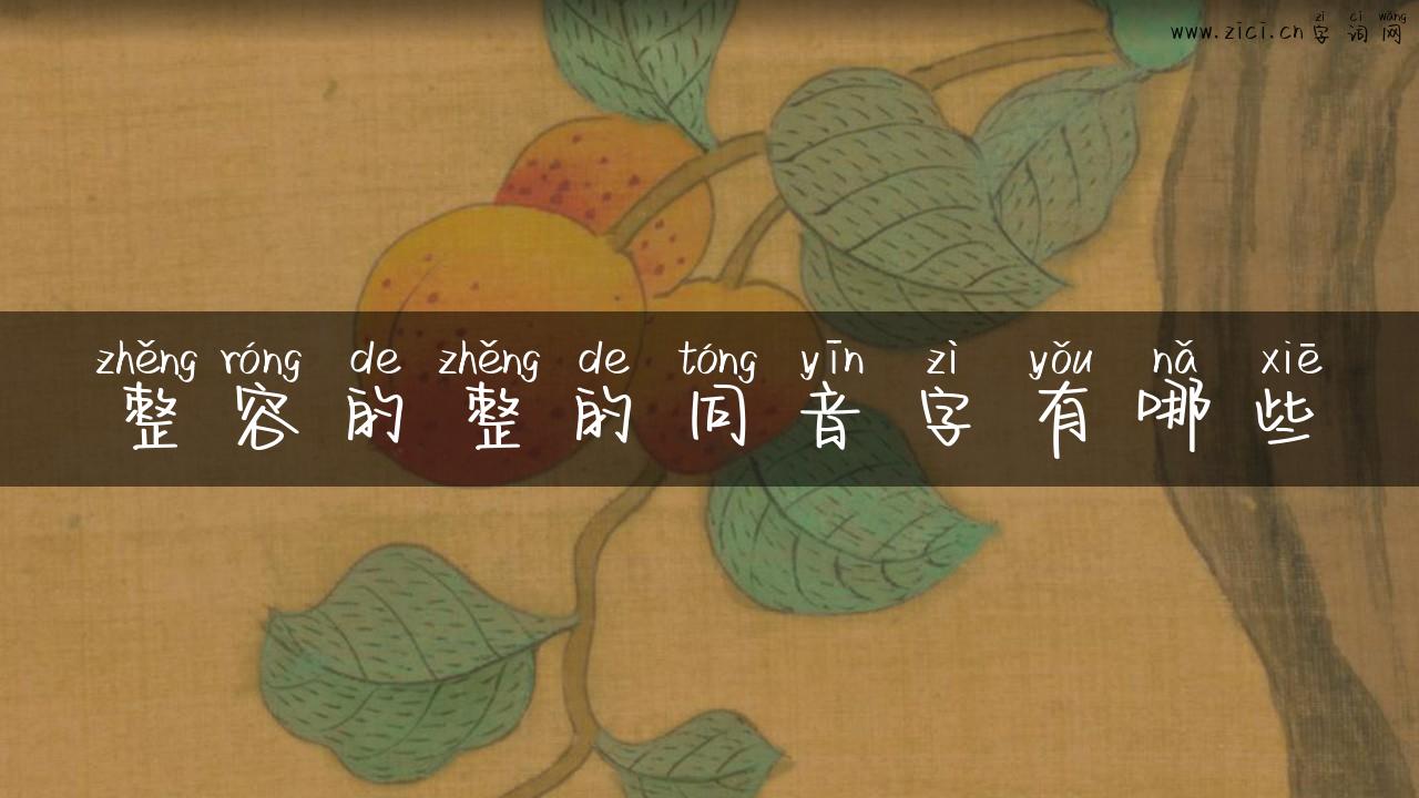 整容的整的同音字有哪些