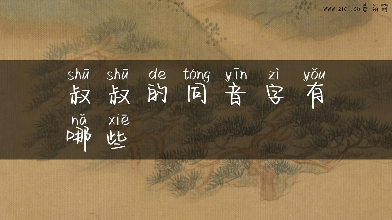 叔叔的同音字有哪些