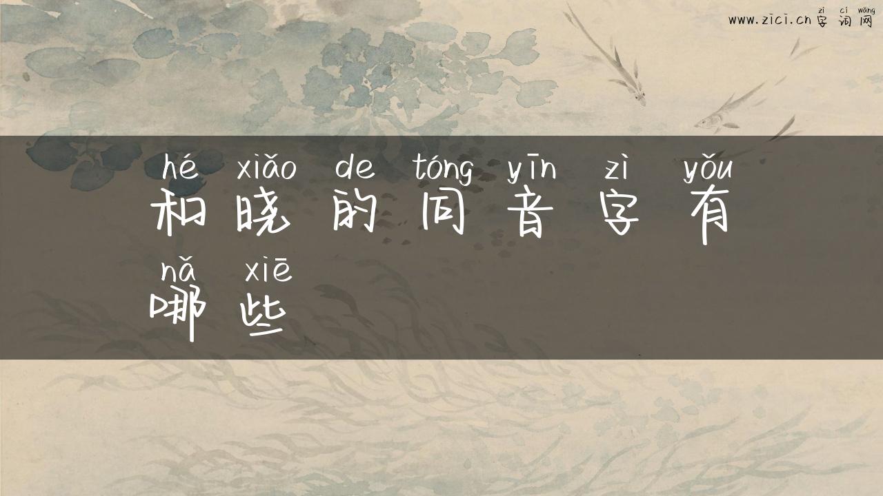 和晓的同音字有哪些