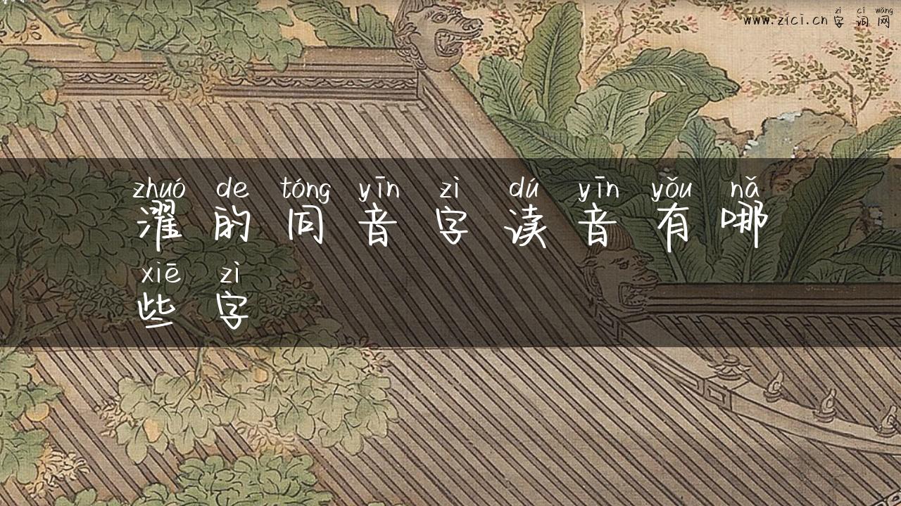 濯的同音字读音有哪些字