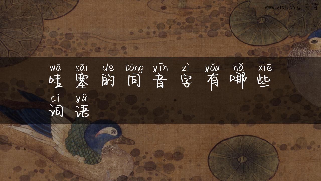 哇塞的同音字有哪些词语