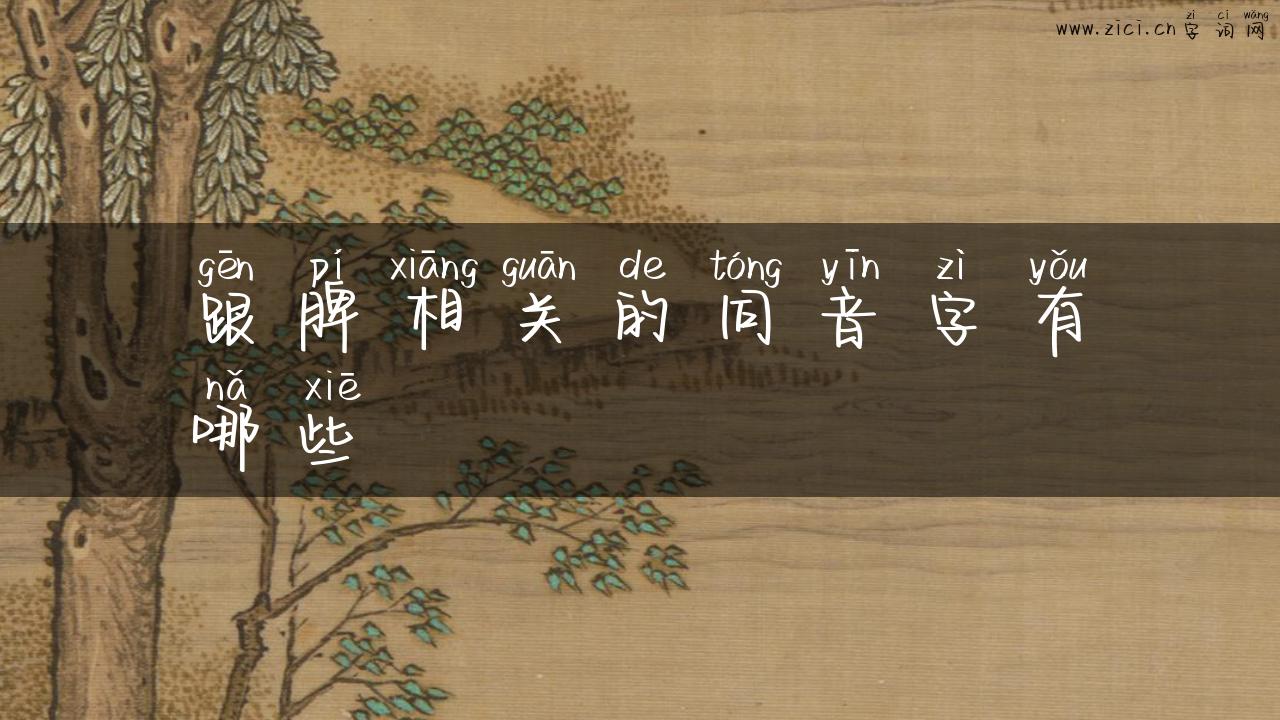 跟脾相关的同音字有哪些