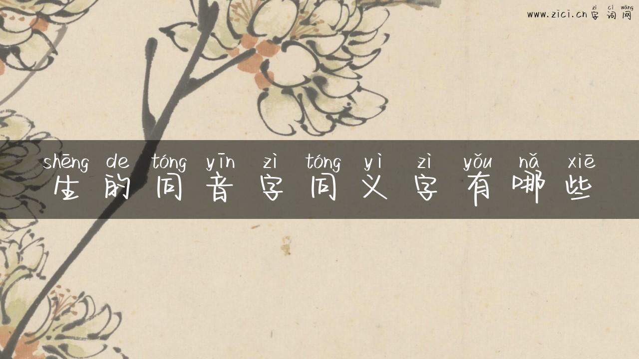生的同音字同义字有哪些