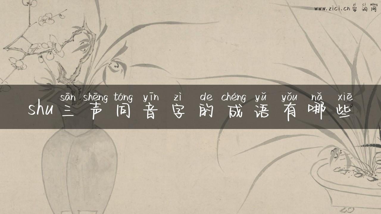 shu三声同音字的成语有哪些