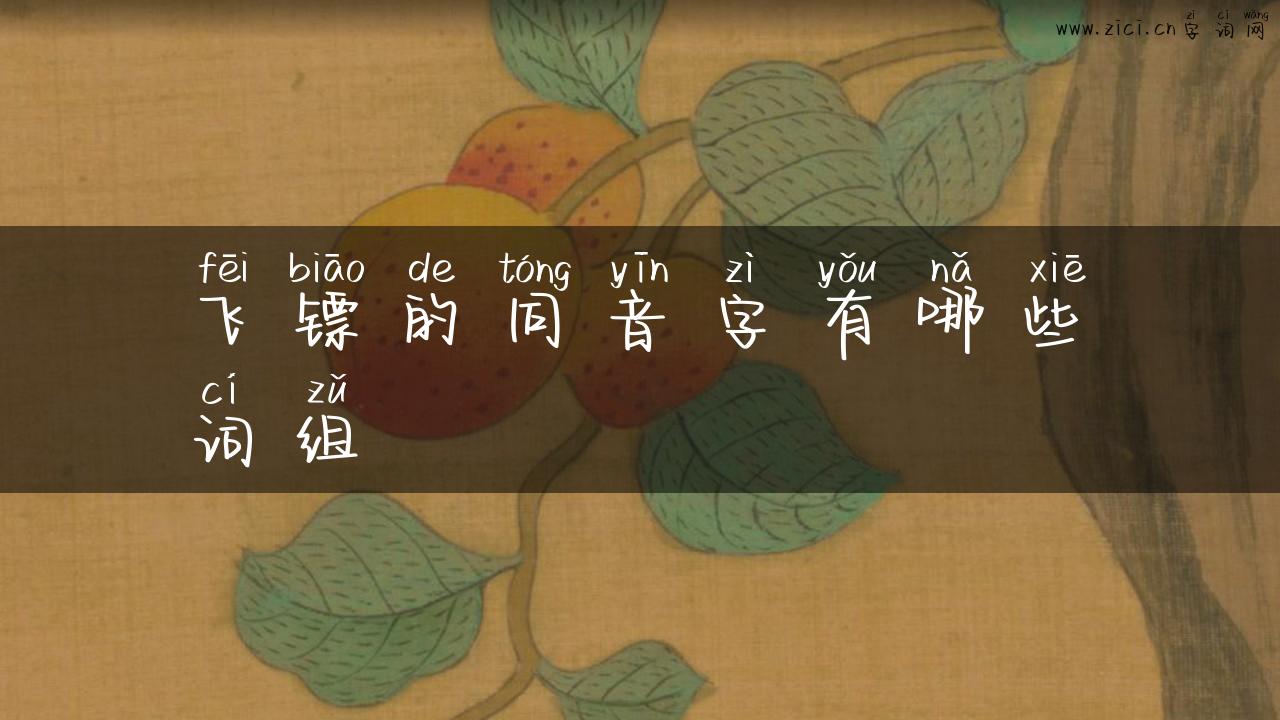 飞镖的同音字有哪些词组