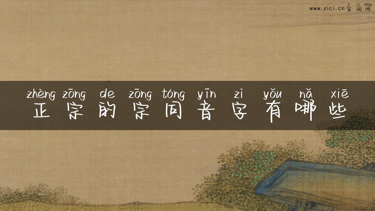 正宗的宗同音字有哪些