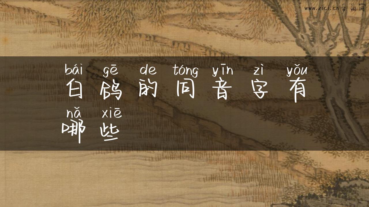 白鸽的同音字有哪些