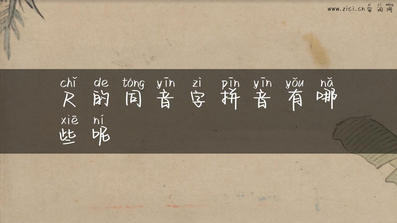 尺的同音字拼音有哪些呢