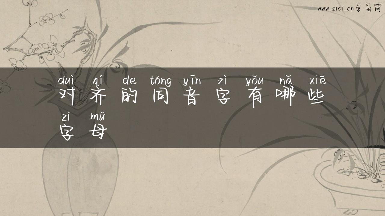 对齐的同音字有哪些字母