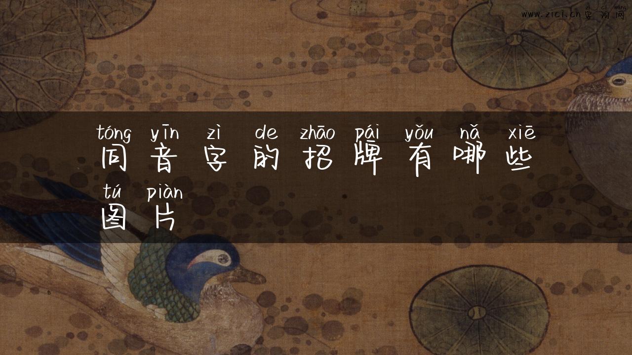 同音字的招牌有哪些图片