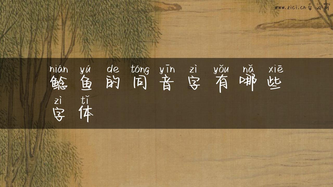 鲶鱼的同音字有哪些字体