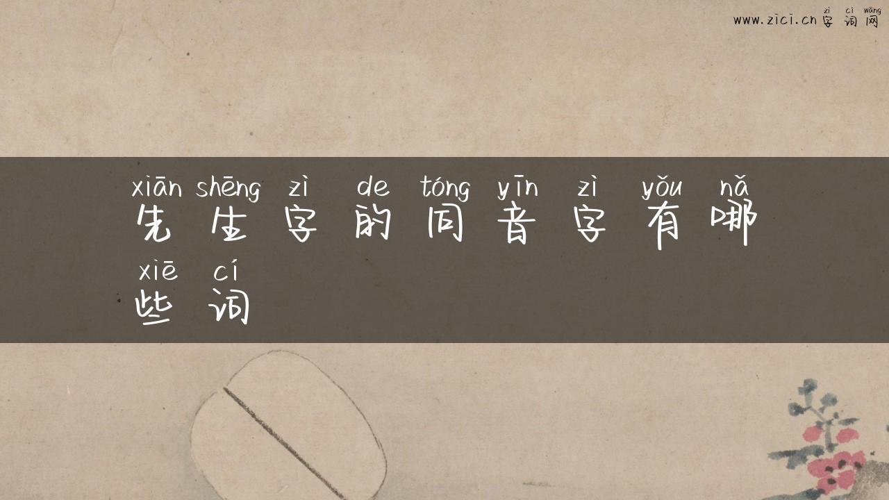 先生字的同音字有哪些词