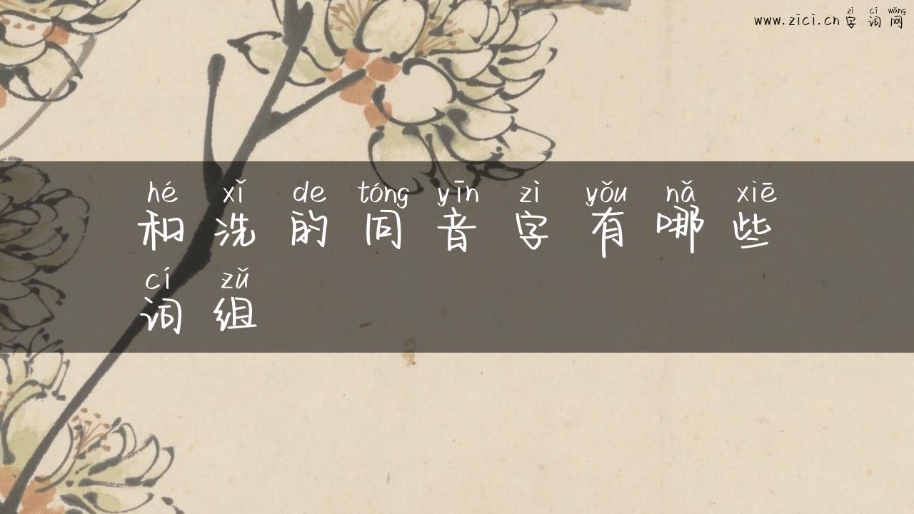 和洗的同音字有哪些词组
