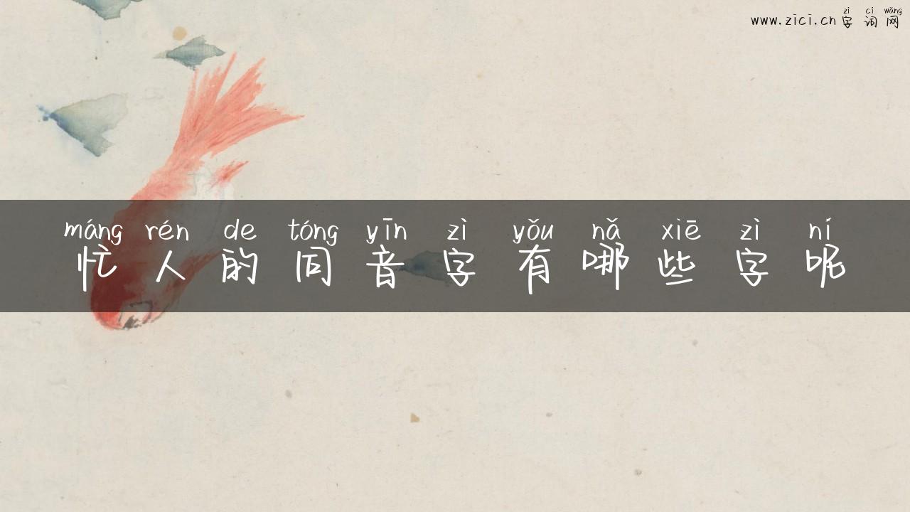 忙人的同音字有哪些字呢