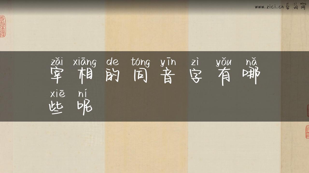 宰相的同音字有哪些呢
