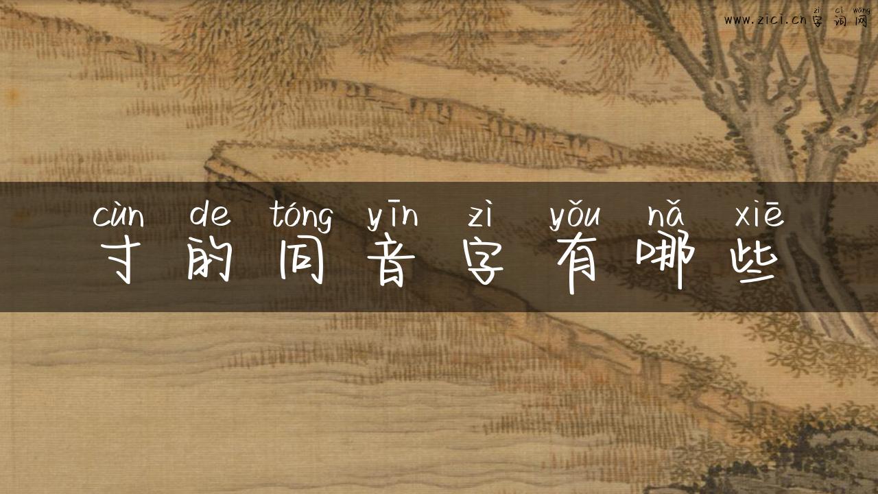 寸的同音字有哪些