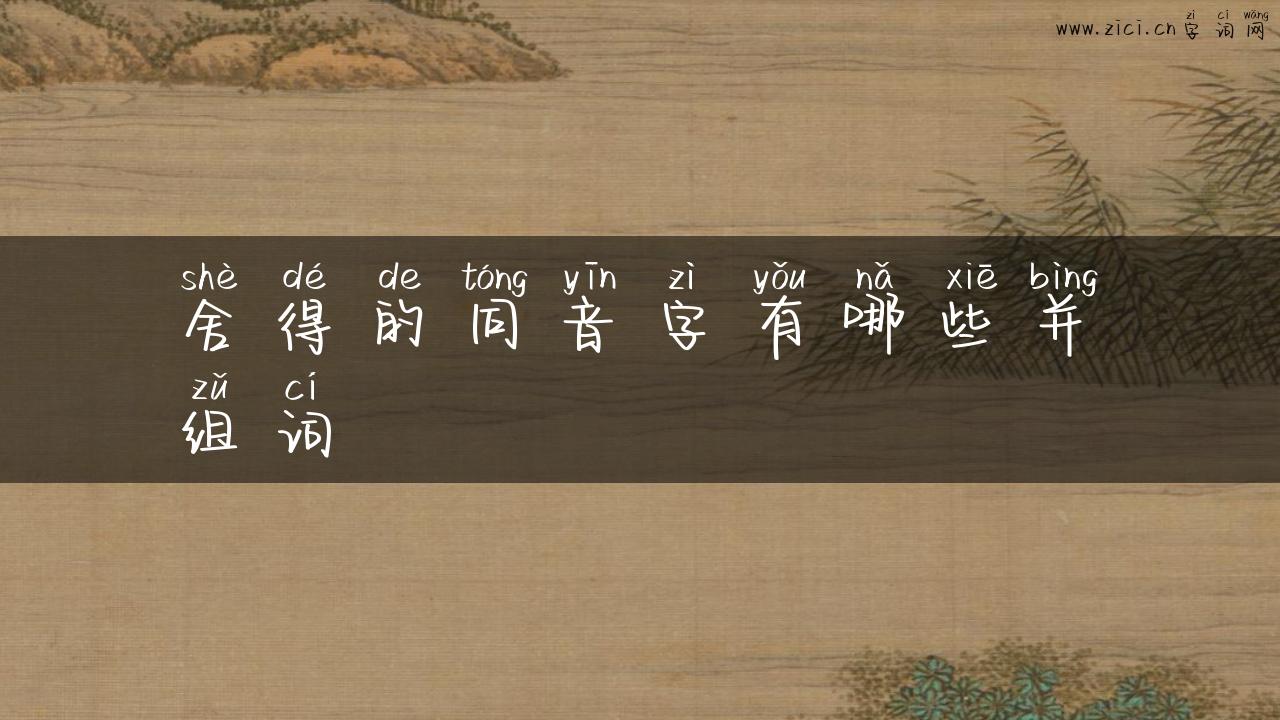 舍得的同音字有哪些并组词