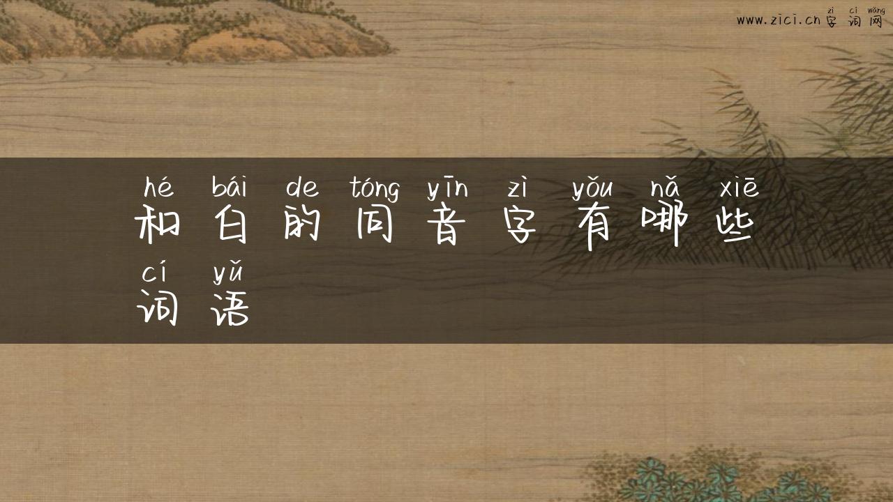 和白的同音字有哪些词语