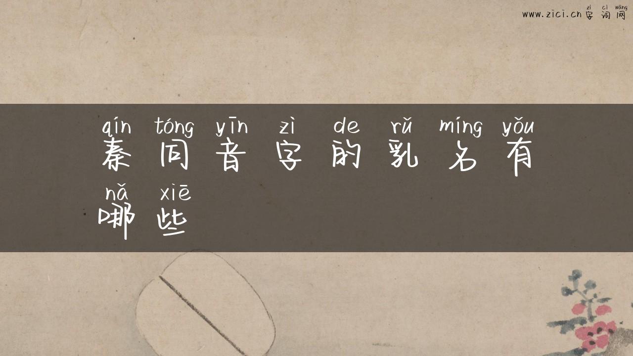 秦同音字的乳名有哪些