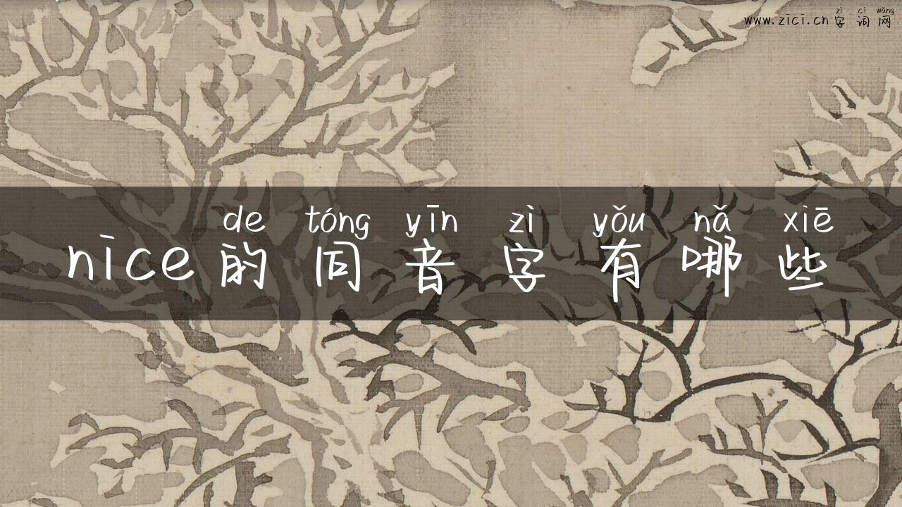 nice的同音字有哪些