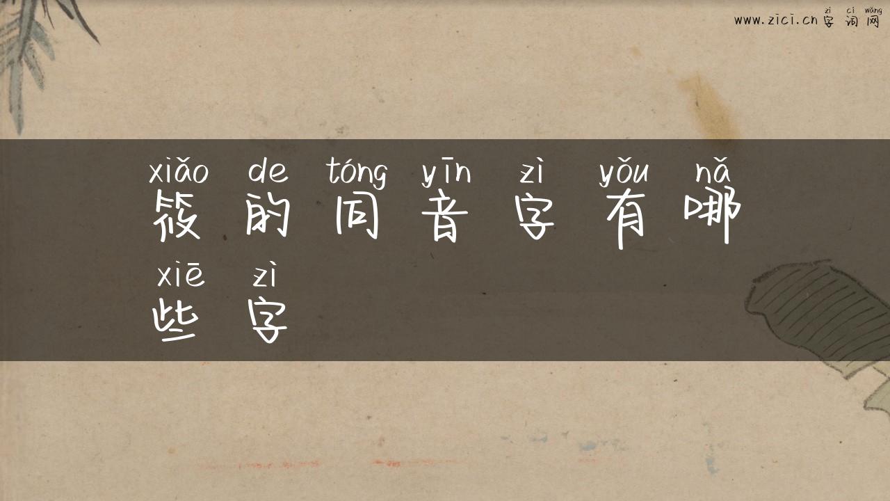 筱的同音字有哪些字