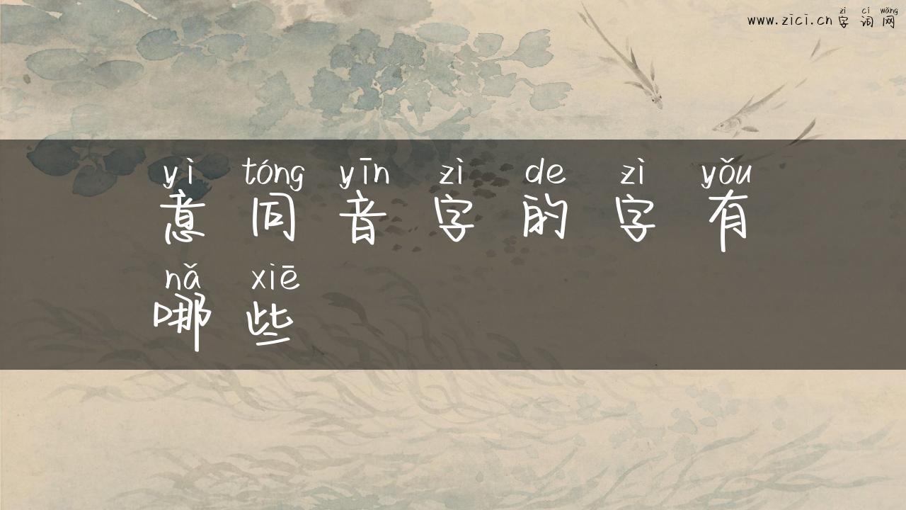 意同音字的字有哪些