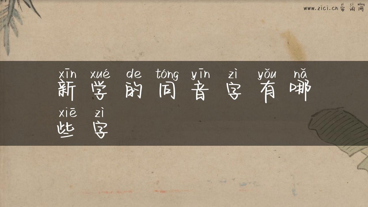 新学的同音字有哪些字