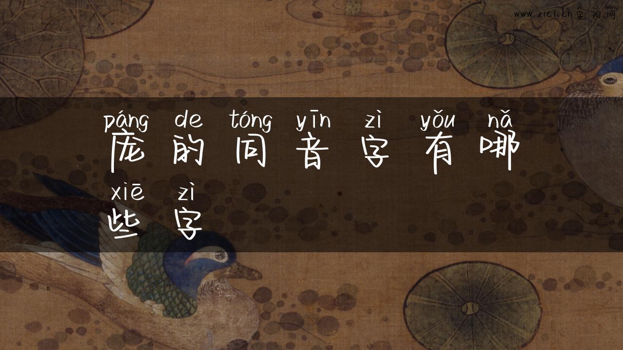 庞的同音字有哪些字
