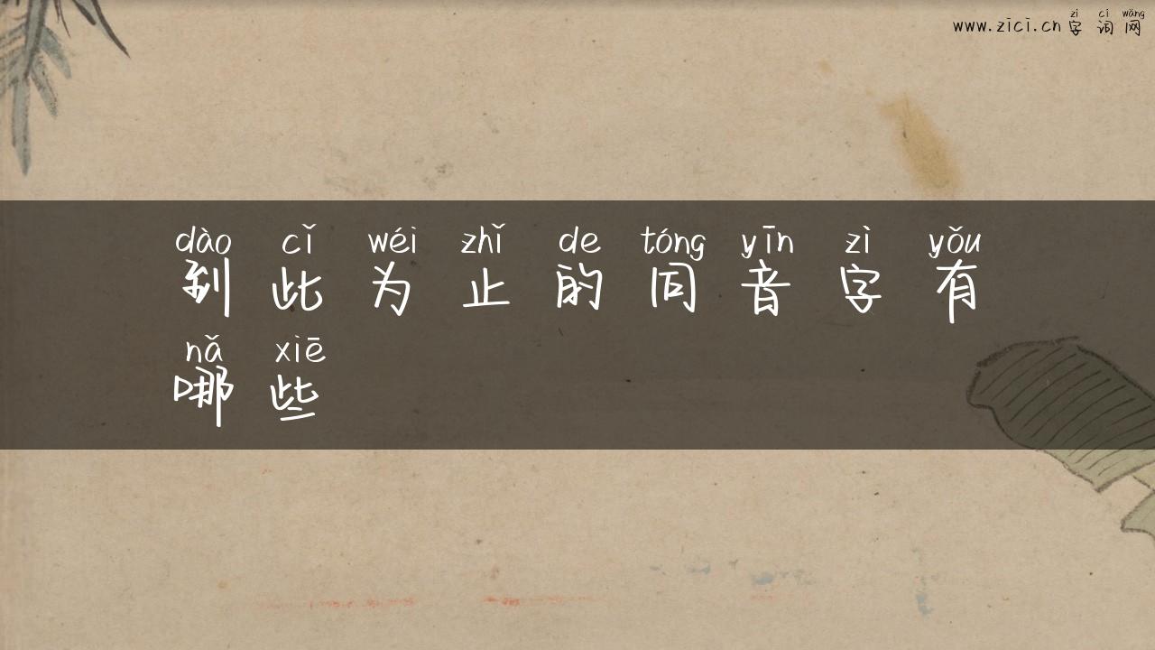 到此为止的同音字有哪些
