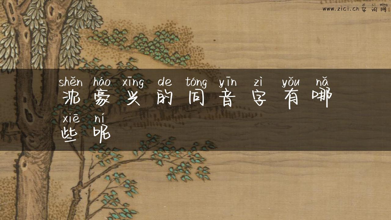 沈豪兴的同音字有哪些呢
