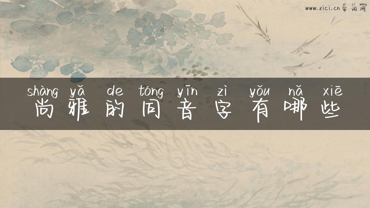 尚雅的同音字有哪些