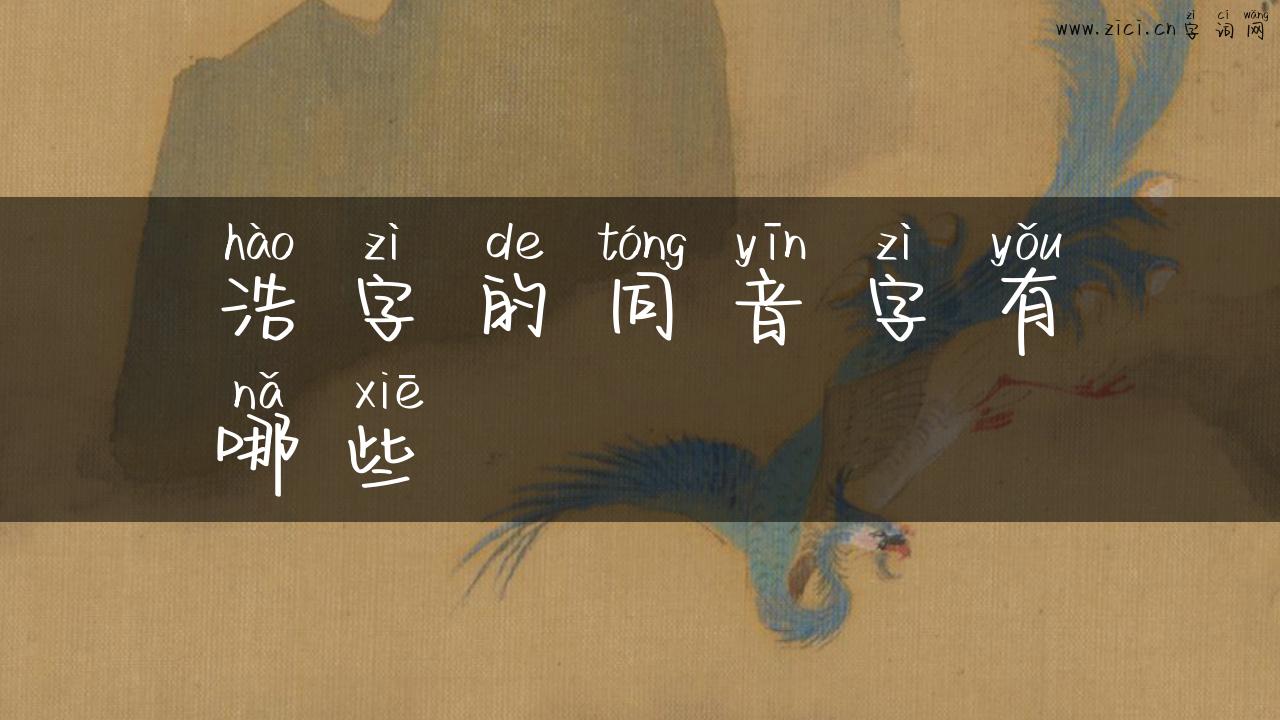 浩字的同音字有哪些