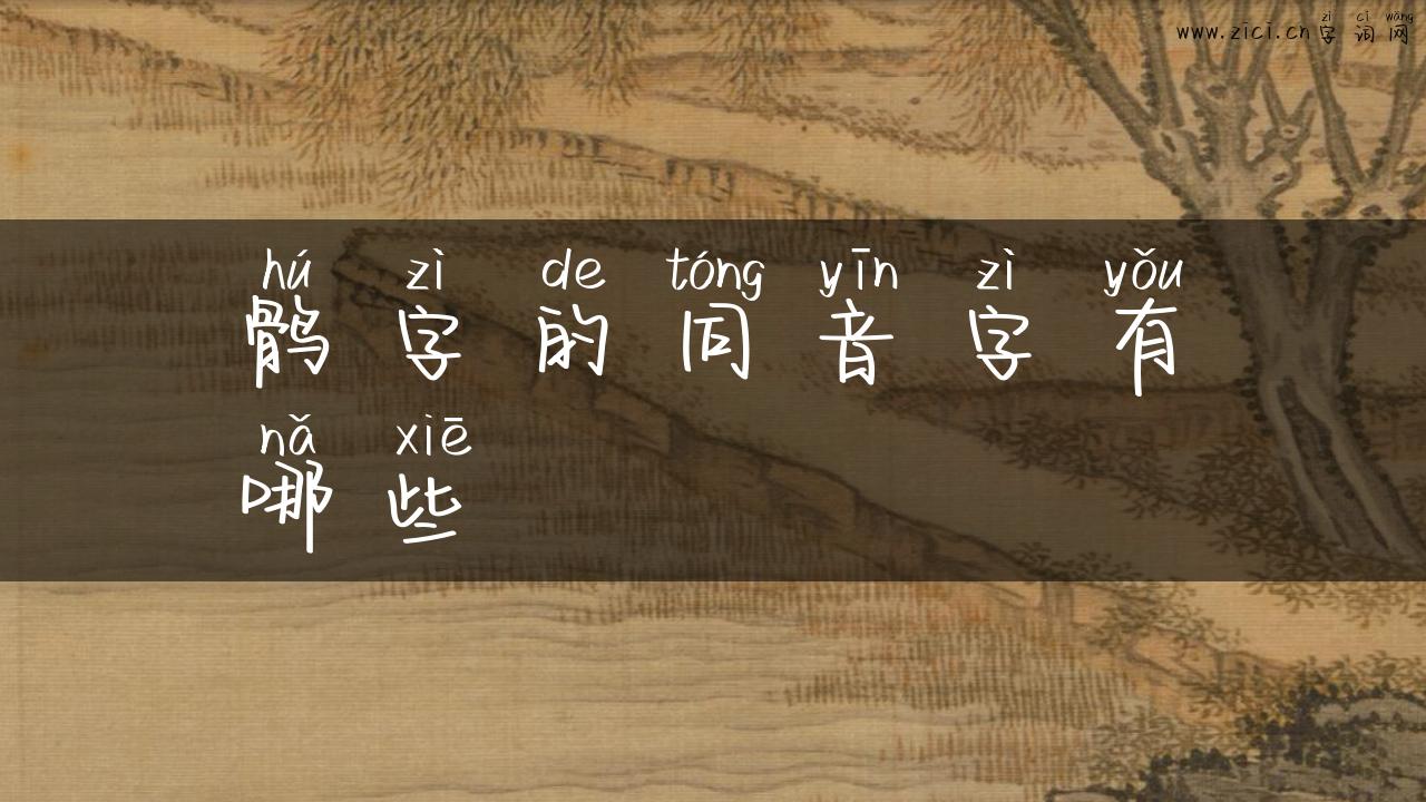 鹘字的同音字有哪些