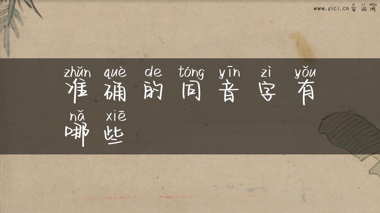 准确的同音字有哪些