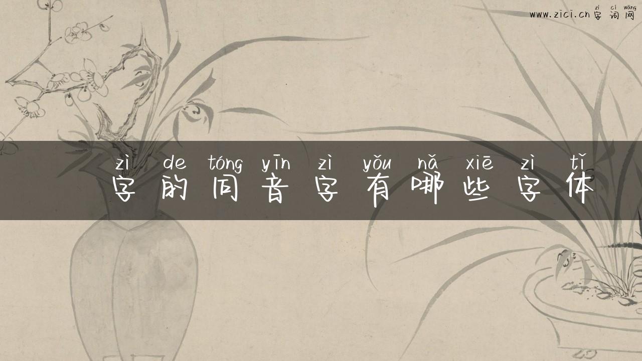 猯字的同音字有哪些字体