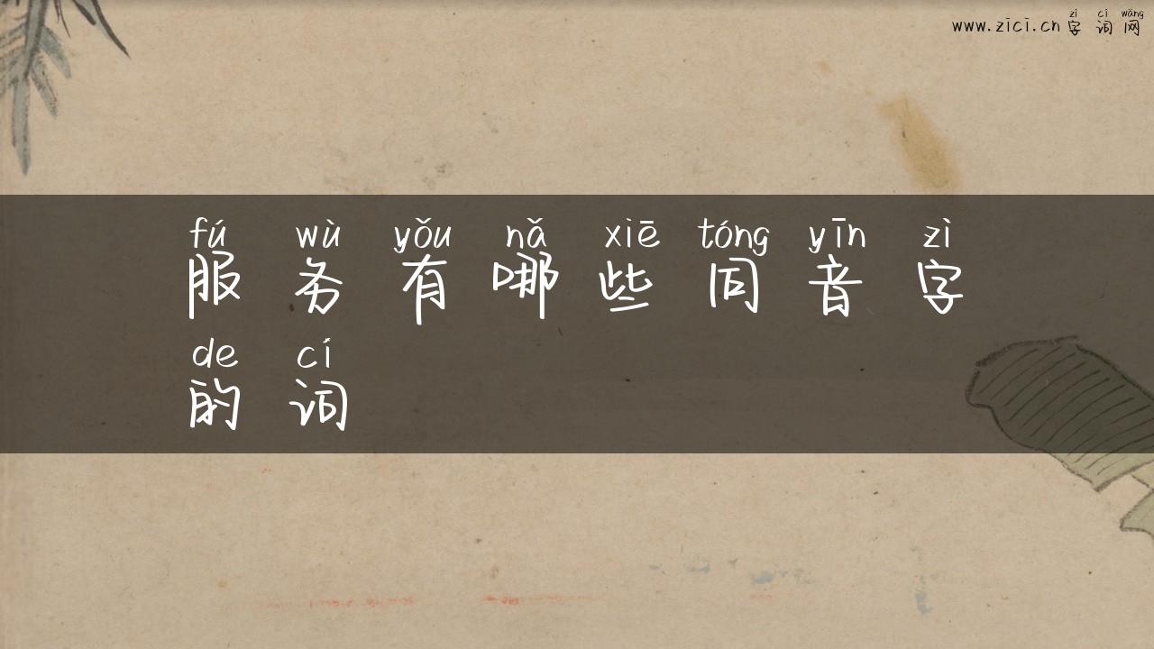 服务有哪些同音字的词