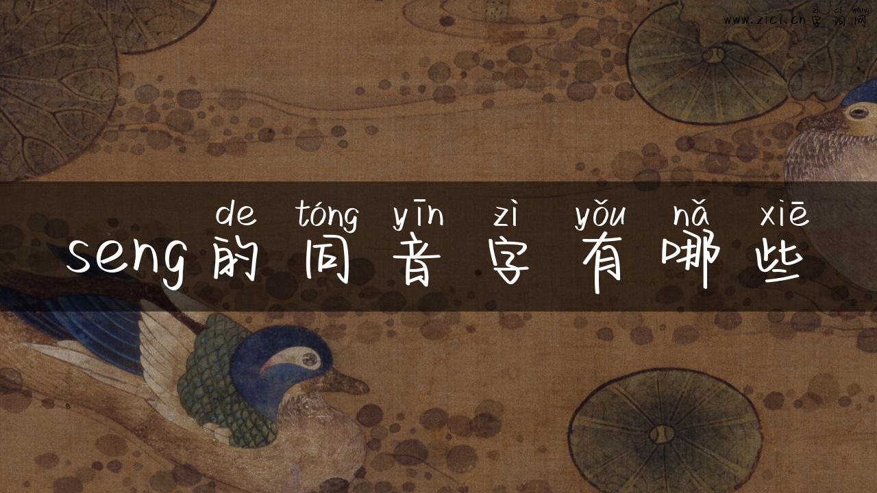 seng的同音字有哪些