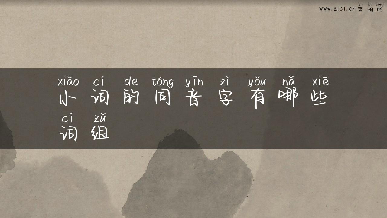 小词的同音字有哪些词组