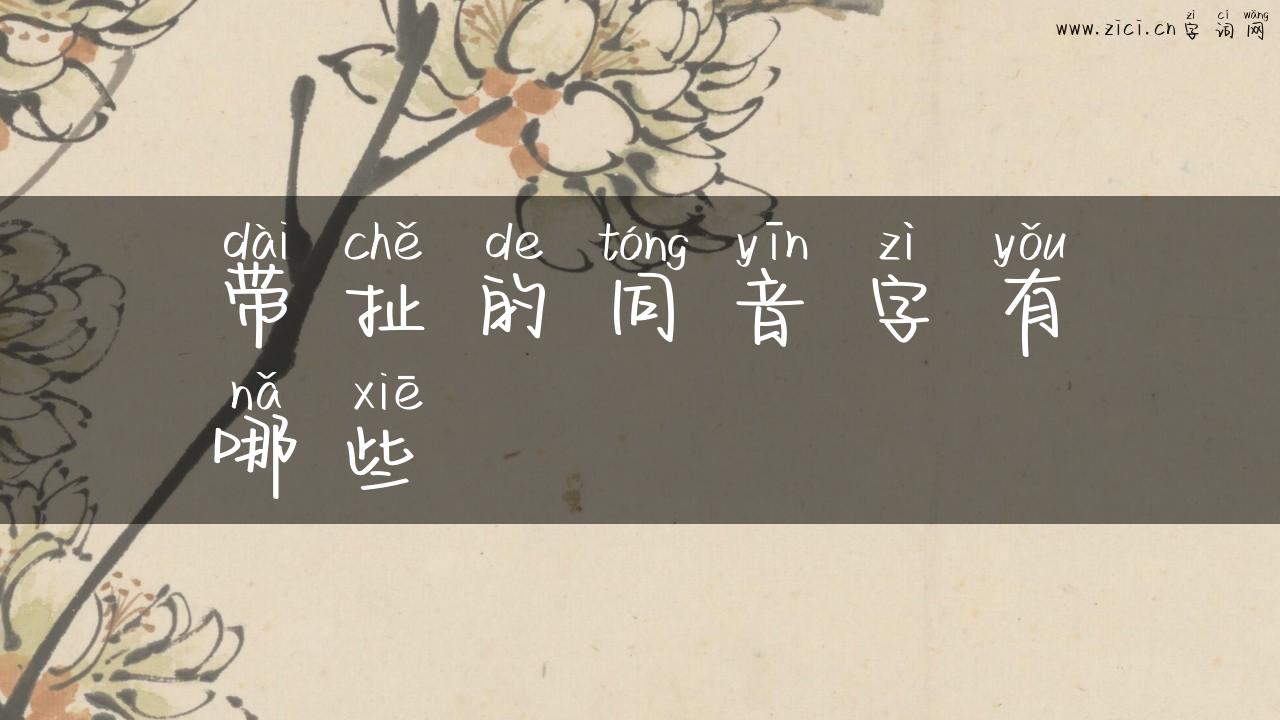 带扯的同音字有哪些