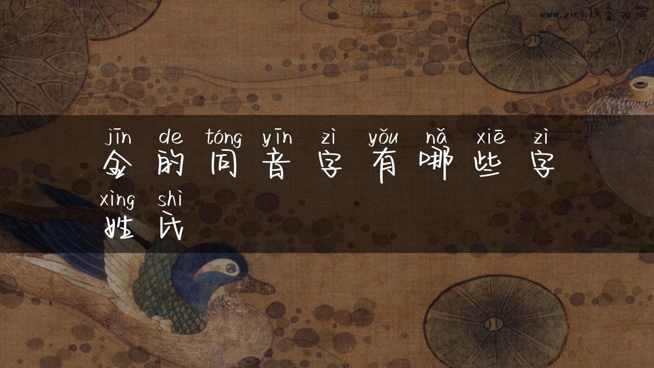 金的同音字有哪些字姓氏
