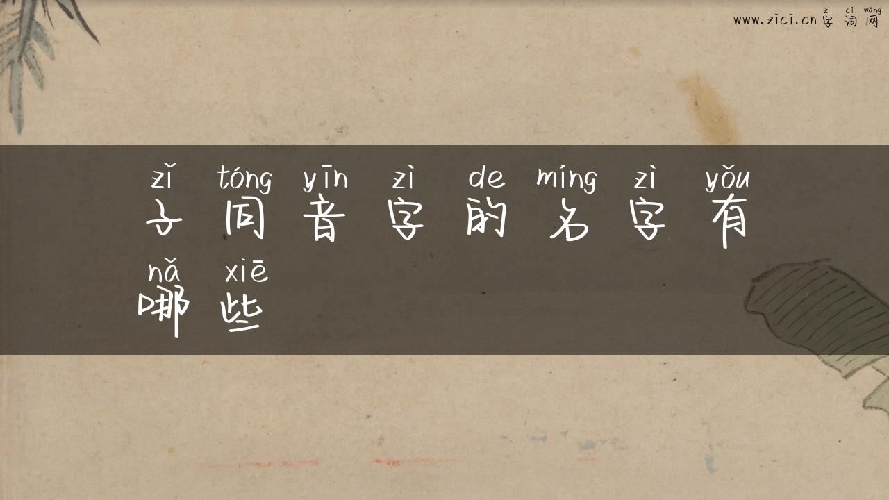 子同音字的名字有哪些