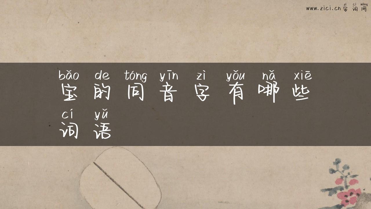 宝的同音字有哪些词语