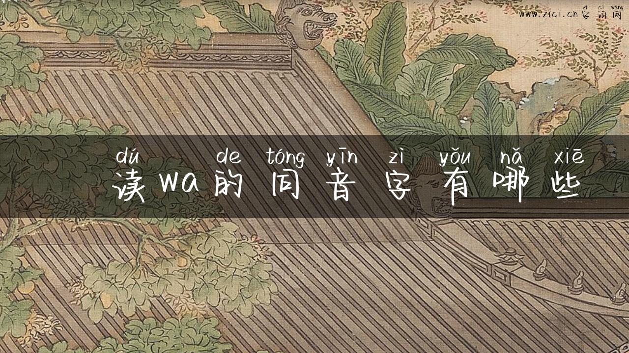 嚩读wa的同音字有哪些