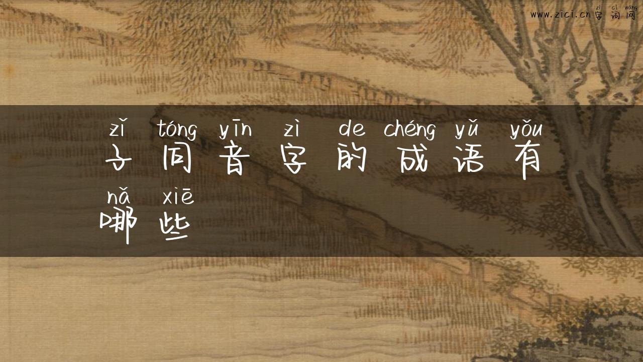 子同音字的成语有哪些