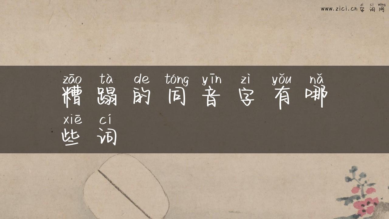 糟蹋的同音字有哪些词