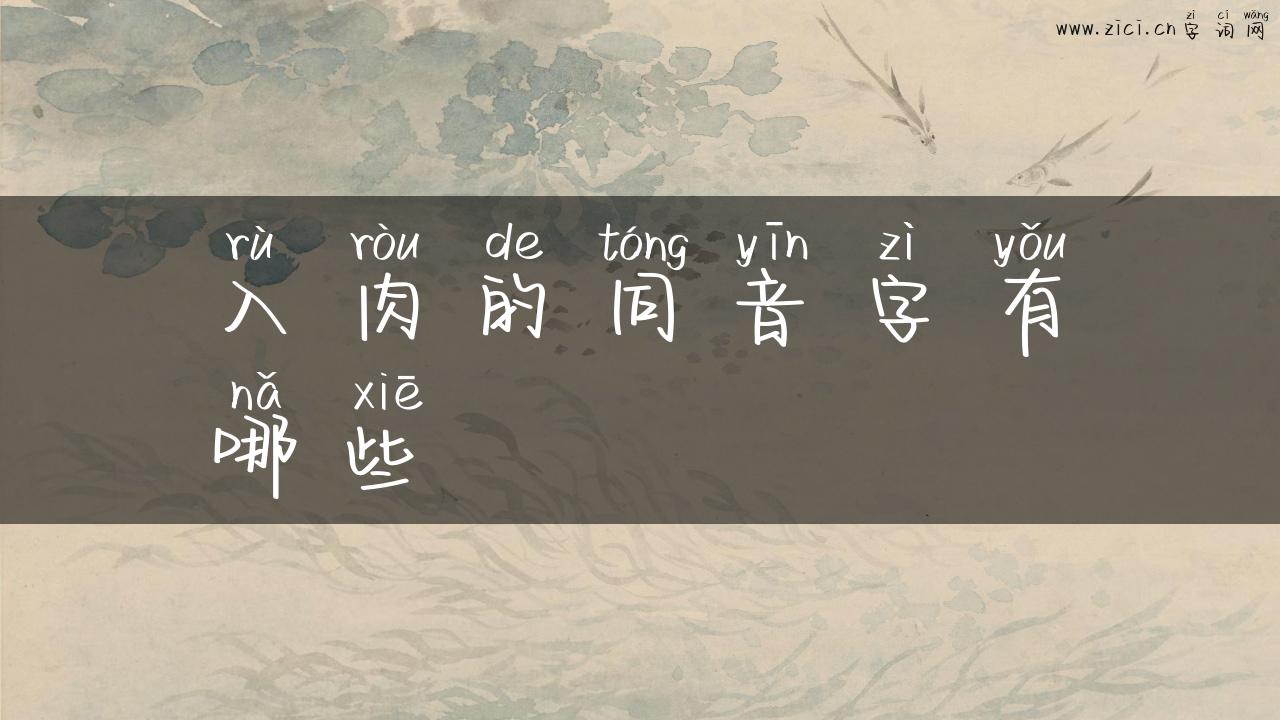 入肉的同音字有哪些