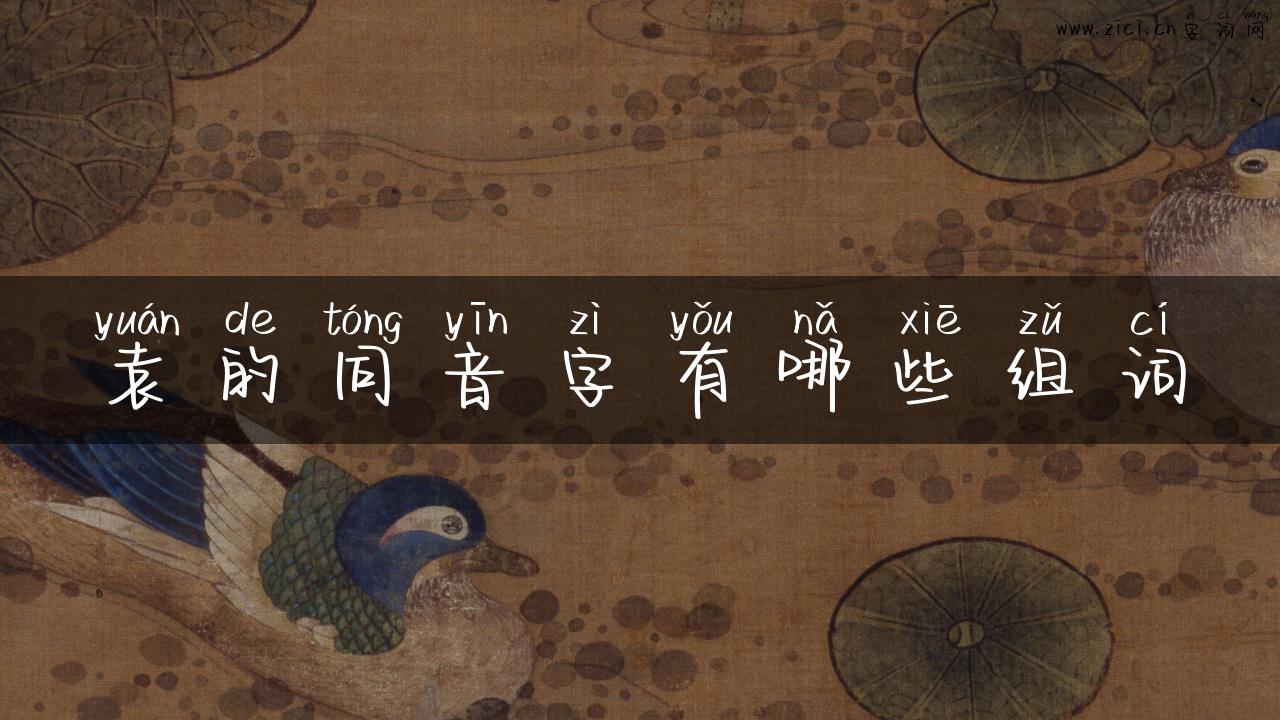 袁的同音字有哪些组词